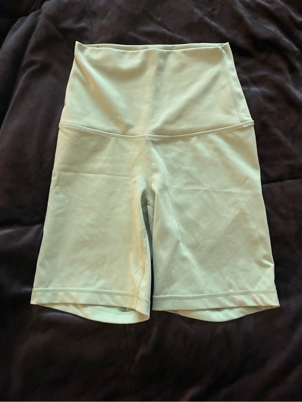 Yogalicious High-Waist Bike Shorts in Light Green